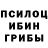 Галлюциногенные грибы Psilocybine cubensis RushanBea