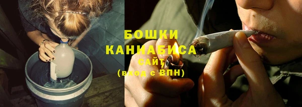 индика Бугульма