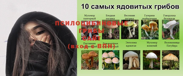 скорость Бронницы