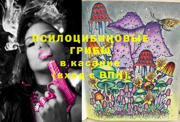 2c-b Верхний Тагил